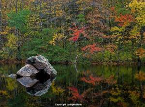 Intimate New England Landscape Photography 